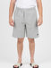 TOMMY HILFIGER TJM LIGHT BASKETBALL SHORT sivé